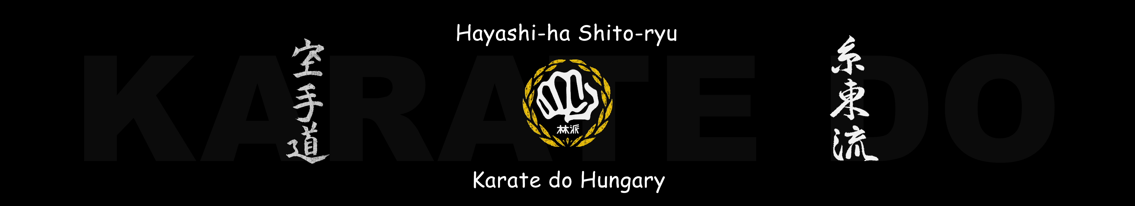 Hayashi-ha Shito-ryu